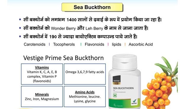 SEA BUCKTHORN