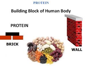 प्रोटीन पाउडर खाने के 29 फायदे | 29 BENEFITS OF PROTEIN POWDER