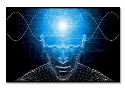 The mind and the brainwaves