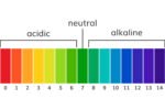 अम्लीय (एसिड) बनाम क्षारीय आहार (Acid Vs Alkaline Diet)