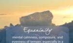 What is Equanimity?  