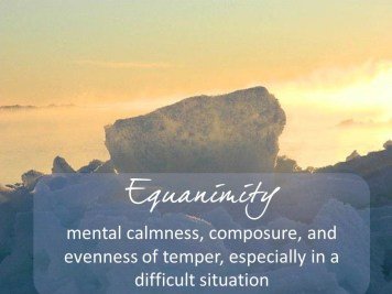 What is Equanimity?  