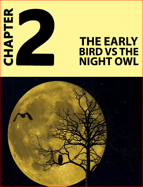 Morning Mastery: Chapter 2-The Early Bird vs the Night Owl