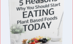 5 Reasons Why You Should Start Eating Plant-Based Foods