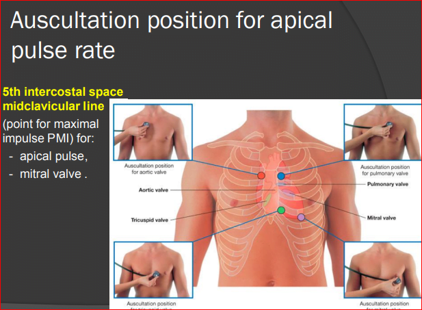 AC PULSE