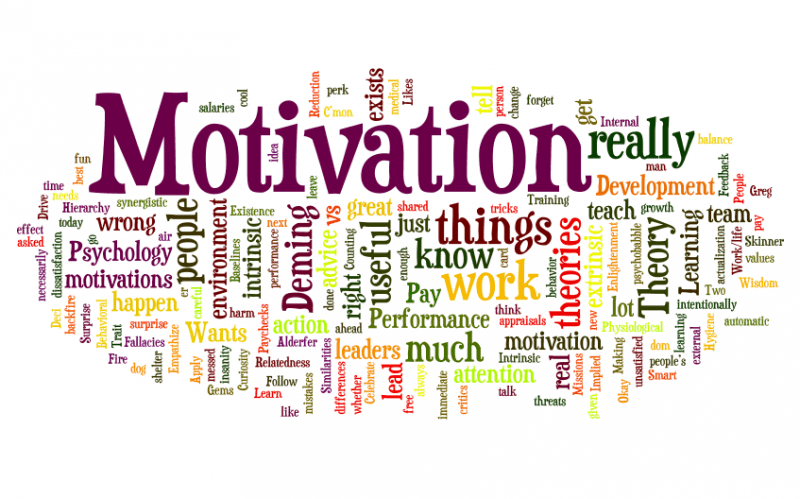 WHAT IS MOTIVATION?