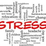 Understanding the complexity of your stress systems