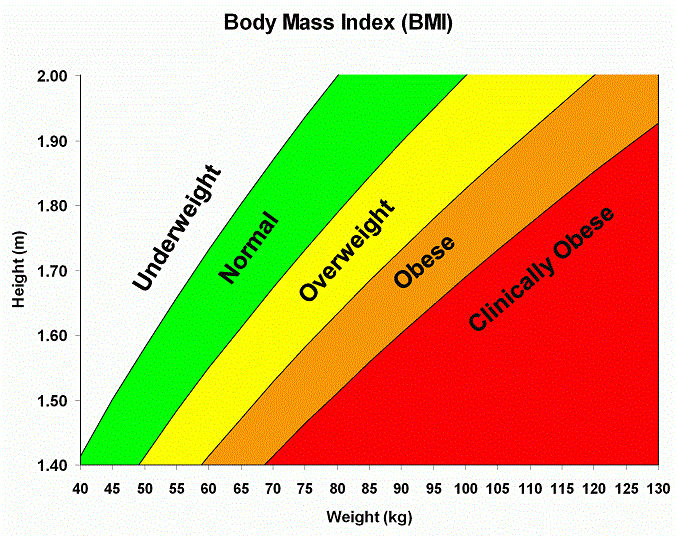 bmi body mass index chart