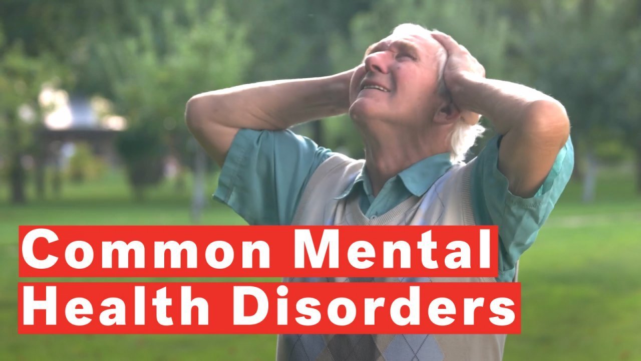 सामान्य मानसिक बीमारियाँ (Common Mental Illnesses): भाग 1