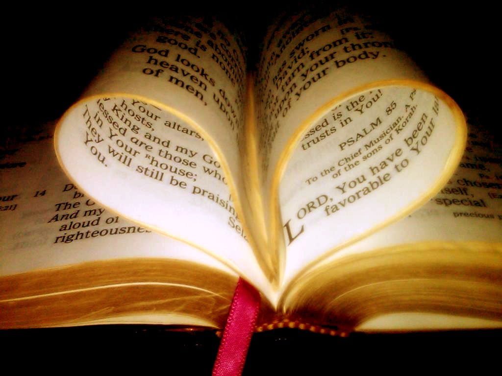 नये नियम से बाईबल की आयतें | बाइबिल से 400+ "धन्य" वचन | Bible Se 400+ DHANYWAD Ke Vachan