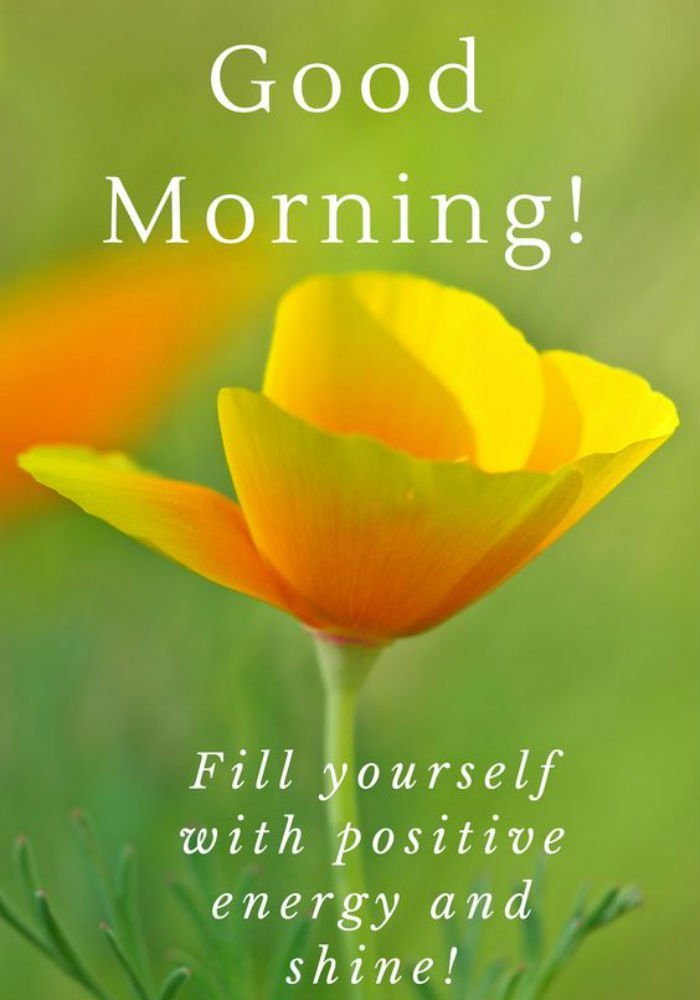 60 Plus Good Morning Inspirational Quotes