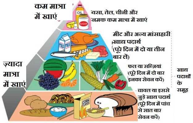Optimal health - santulit aahar kya hai in hindi 1 - optimal health - health is true wealth.