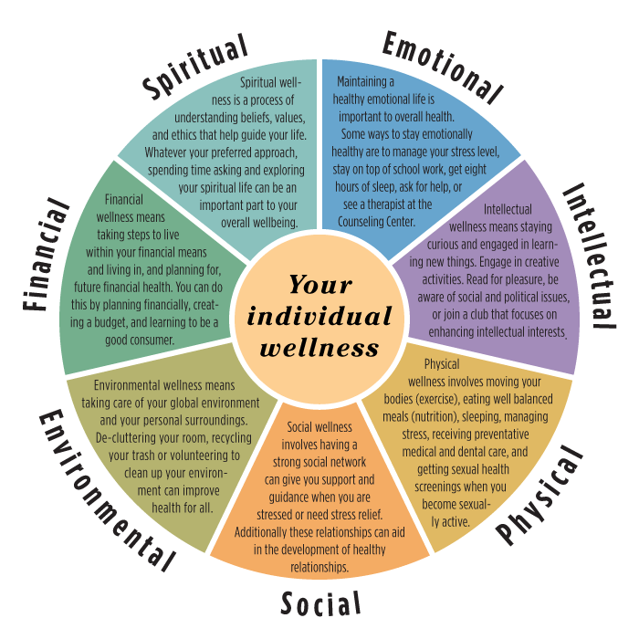 wellness wheel 2