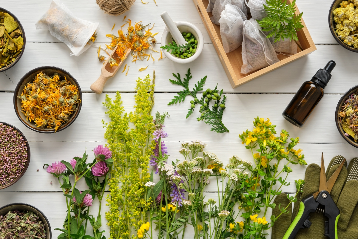 47 Simple Herbal Remedies