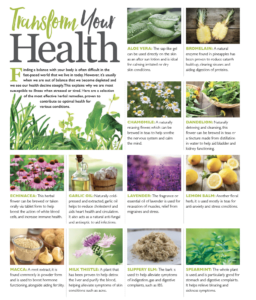 47 herbal remedies: part 2