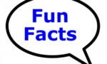 90 Plus Fun Facts 