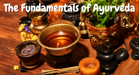 The Fundamentals of Ayurveda