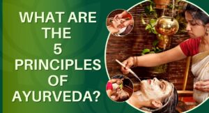 What are the 5 principles of Ayurveda?, What is the concept of Ayurveda?, What are the 4 basics of Ayurveda?