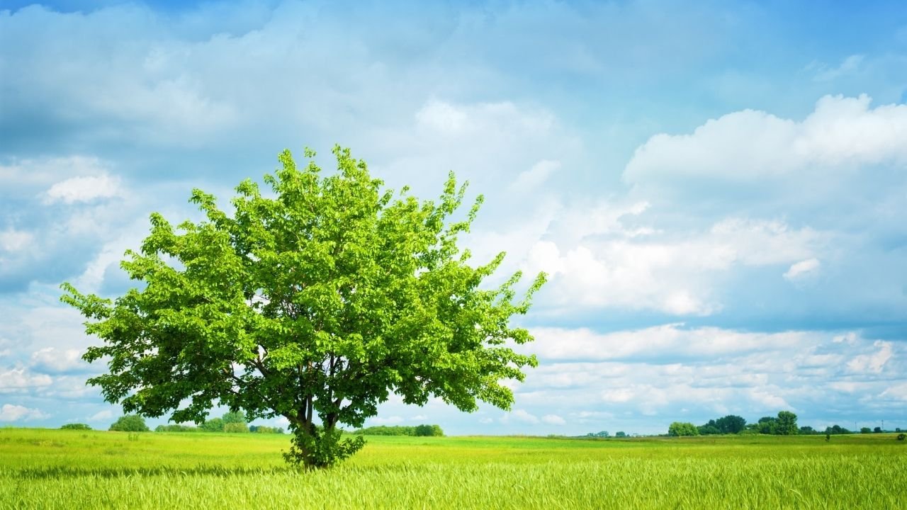 A holistic approach is valuable.