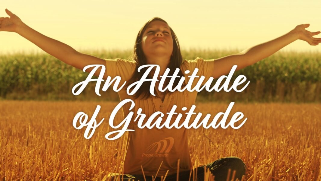 Embracing the Law of Gratitude: Cultivating a Positive Mindset, Can gratitude improve my overall well-being? 10 Principles of the Law of Gratitude