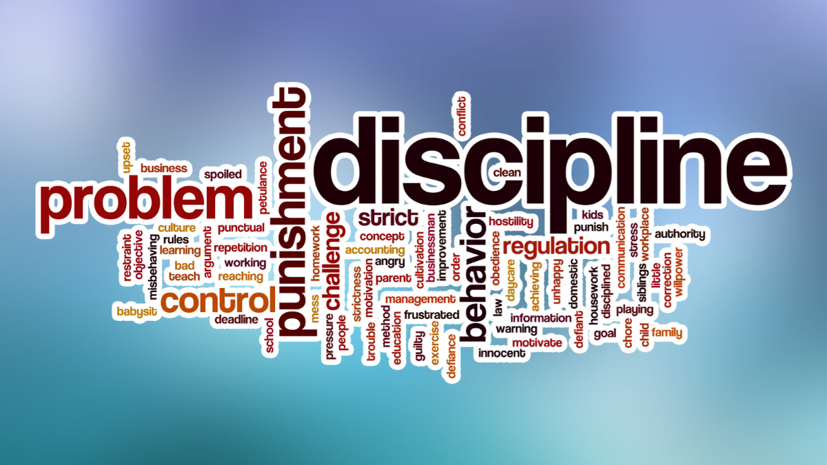 Public Discipline: Fostering Order, Responsibility, and Social Cohesion