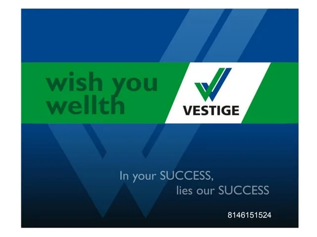 BEST BUSINESS PLAN OF VESTIGE- PART 2