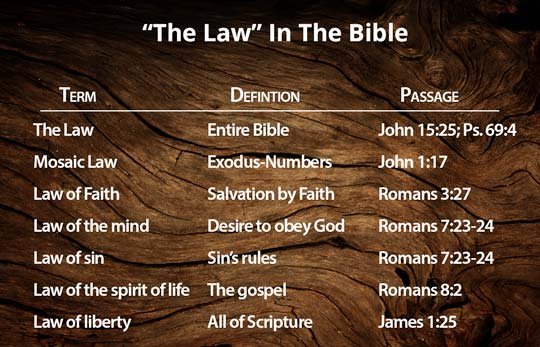 ACCORDING TO THE BIBLE: ACCORDING TO THE BIBLE: THE LAWS OF THE SPIRIT OF LIFE-(PART 1)OF THE SPIRIT OF LIFE-(PART 1)