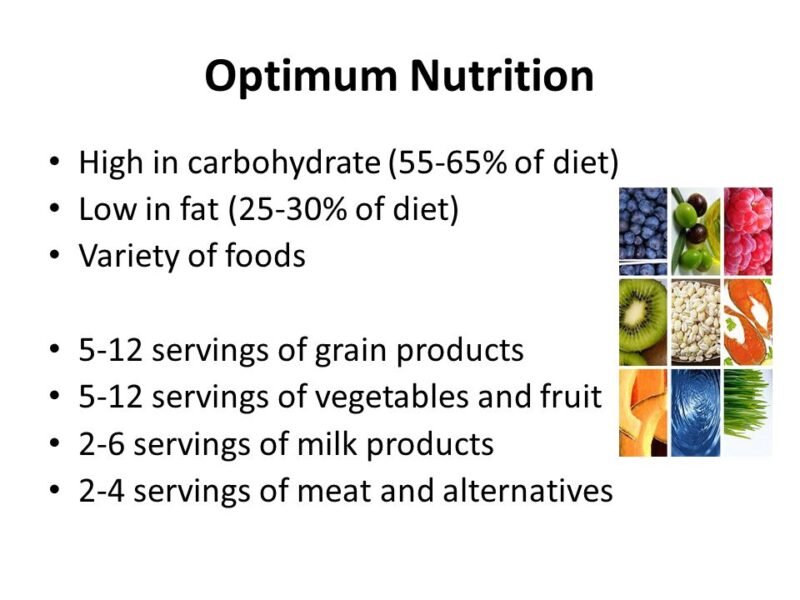 What is Optimal Nutrition?