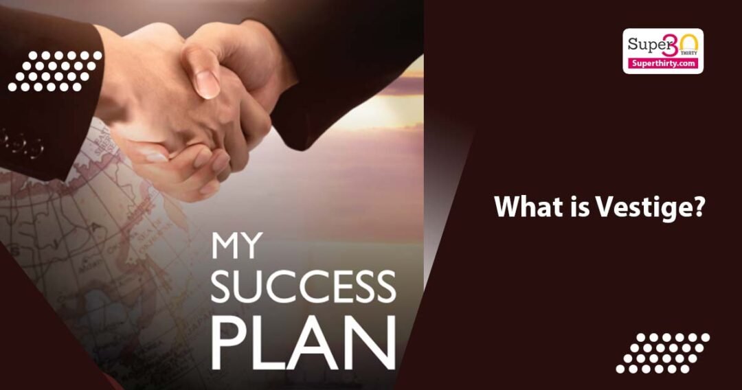 BEST BUSINESS PLAN OF VESTIGE- PART 2